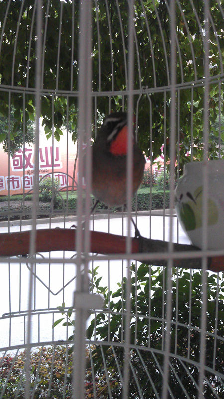 IMAG3627.jpg