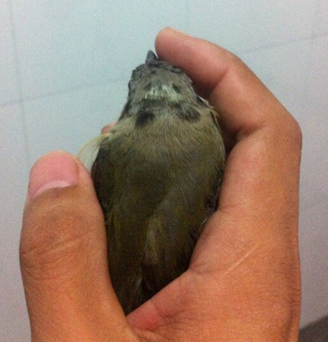 QQ图片20140927135949.jpg