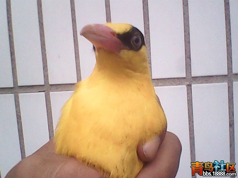 DSC_0000284_副本.jpg