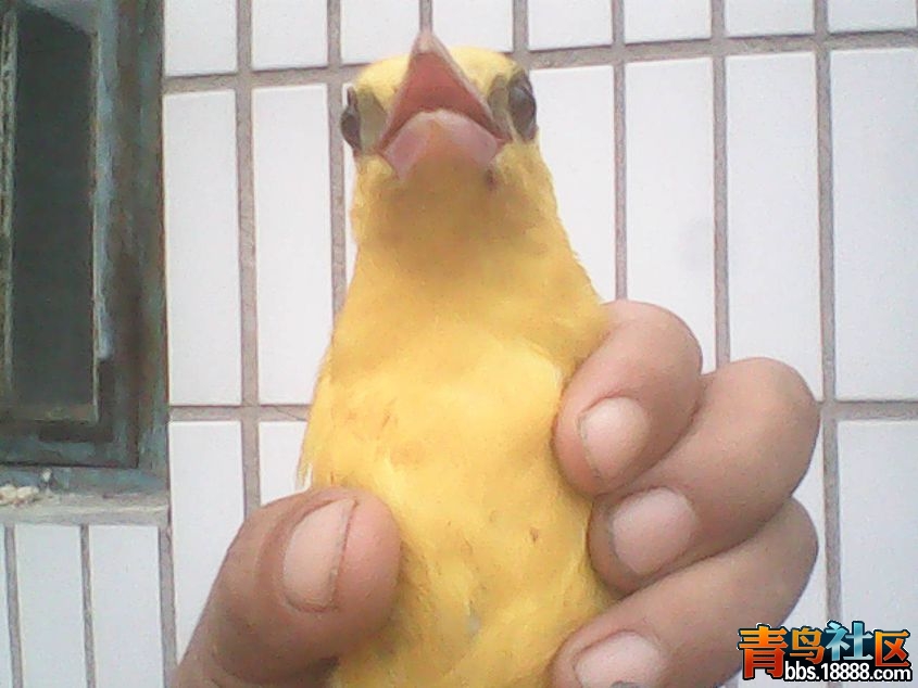 DSC_0000336_副本.jpg