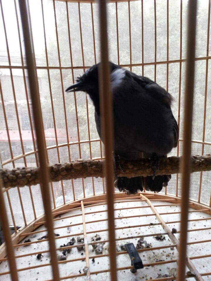 QQ图片20140922144859_副本.jpg