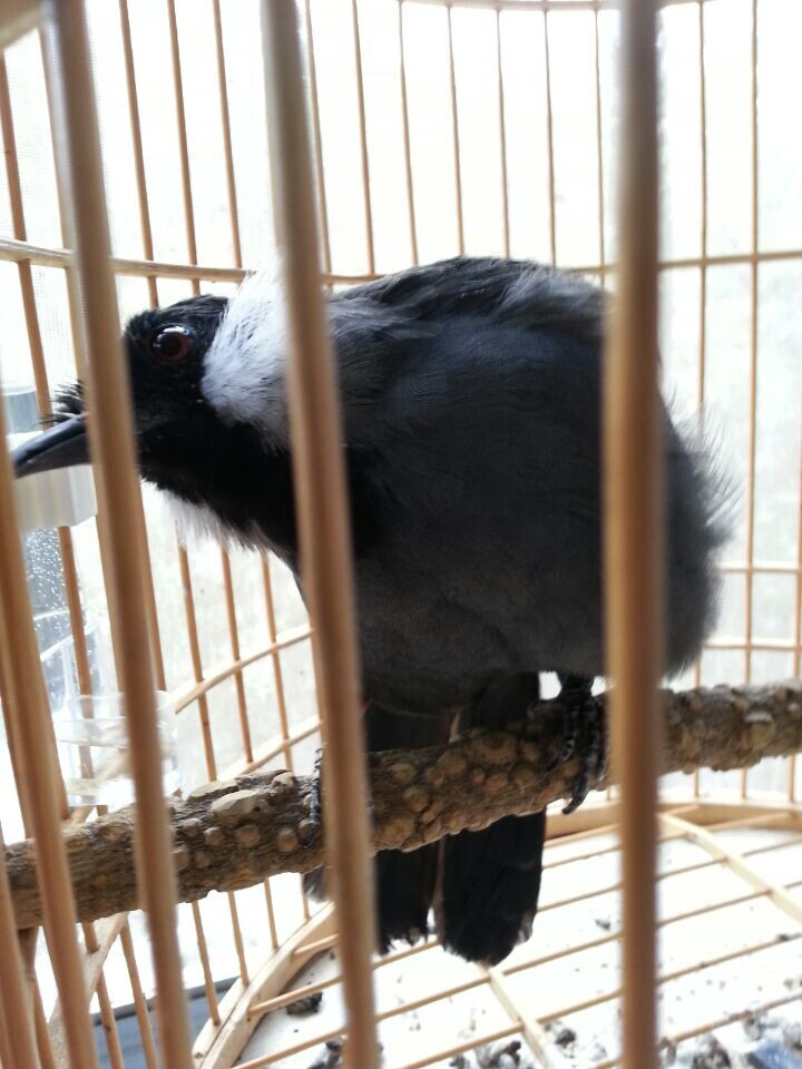QQ图片20140922144902_副本.jpg