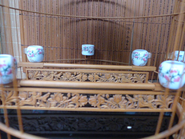P1000833.JPG