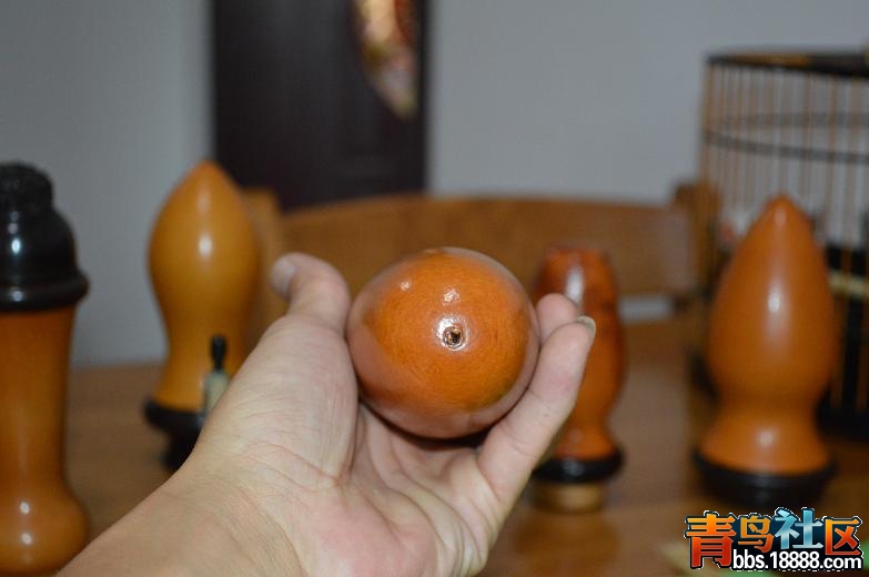 DSC_2203.JPG