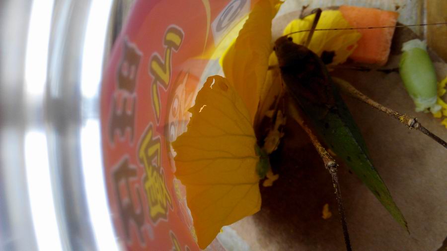 IMG_20140906_124613.jpg