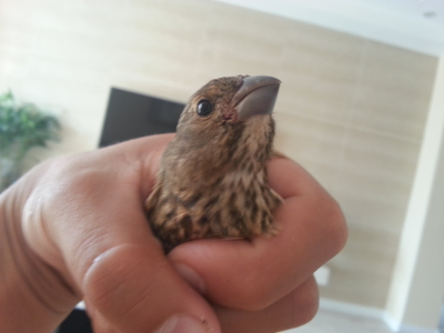 20140917_120931.jpg