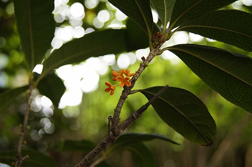 _DSC3869_副本15.jpg