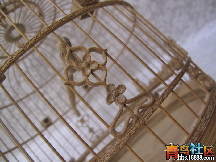 IMG_9292_调整大小.JPG