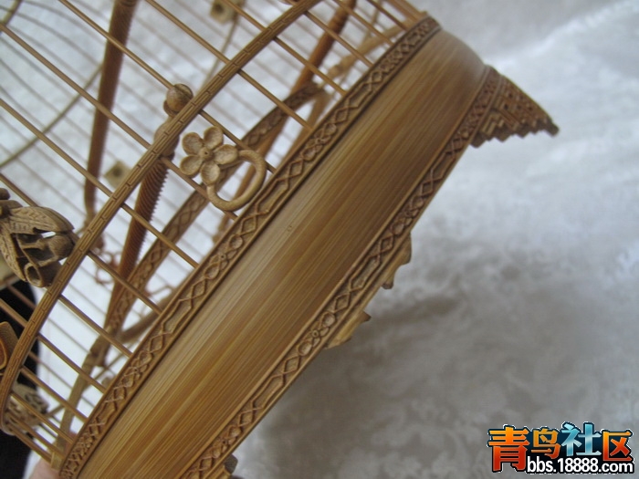 IMG_9467_调整大小.JPG