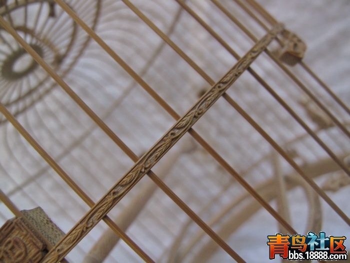 IMG_9298_调整大小.JPG