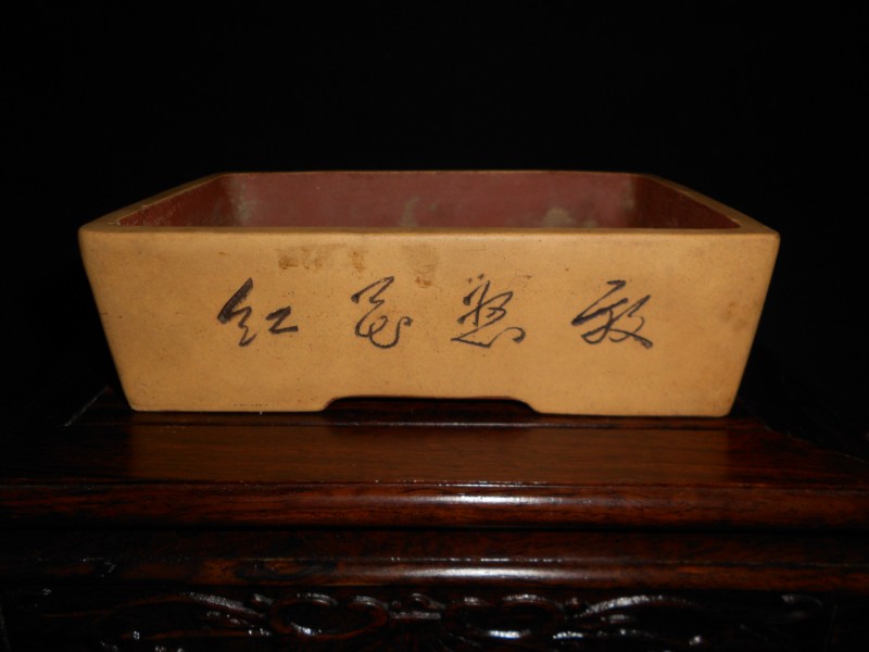 DSCN6172_1.jpg