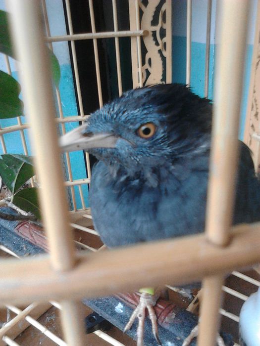 IMG20140924085452.jpg
