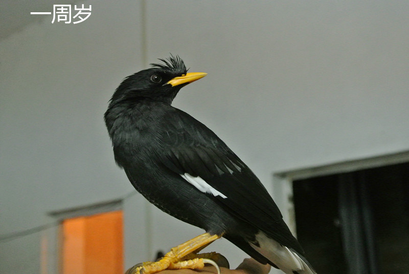 DSC_1907_副本.jpg
