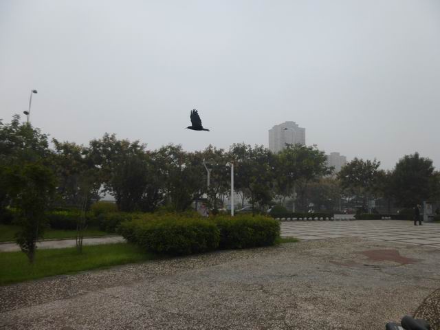 调整大小 P1000823.JPG