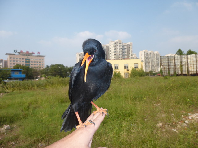 P1000860.JPG