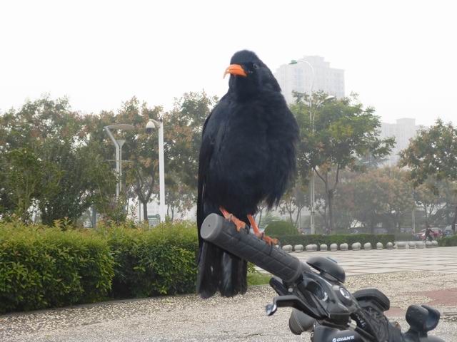 调整大小 P1000830.JPG