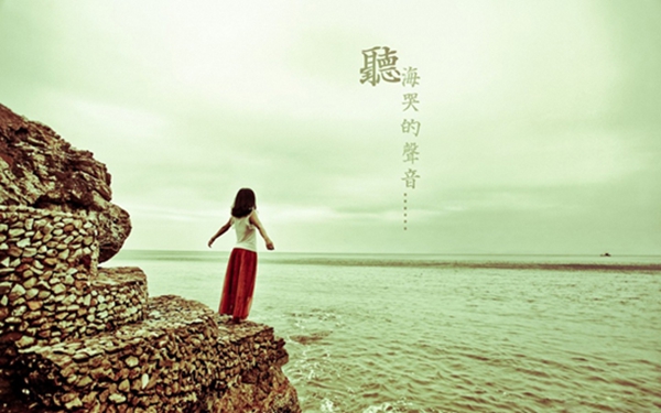 海鸥4.jpg