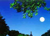 t013246420280f443f6.jpg