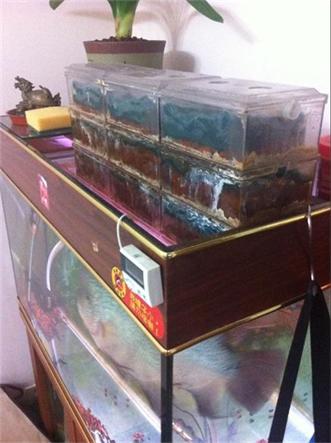 QQ图片20140923092519.jpg