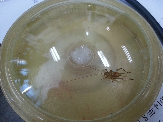 20140910_094039.jpg