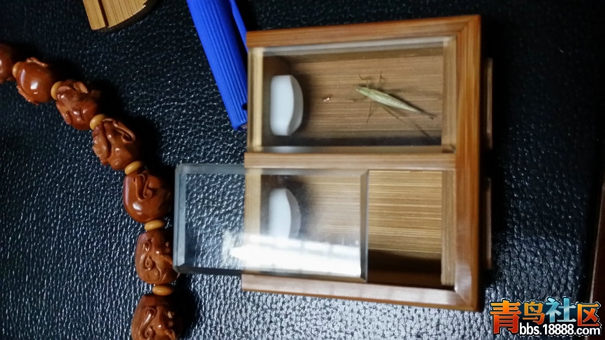 20140914_234116.jpg