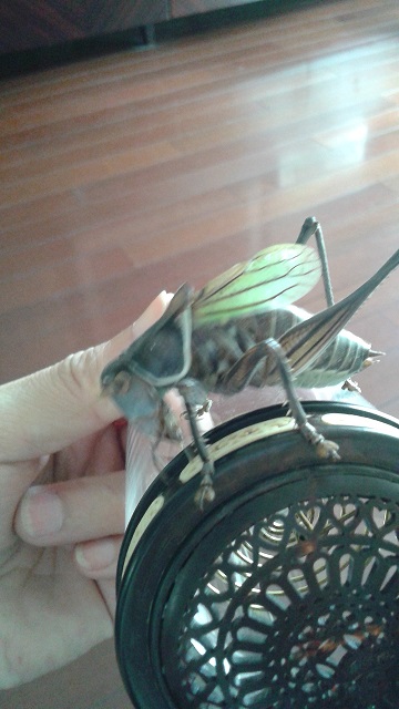 20140925_123924.jpg