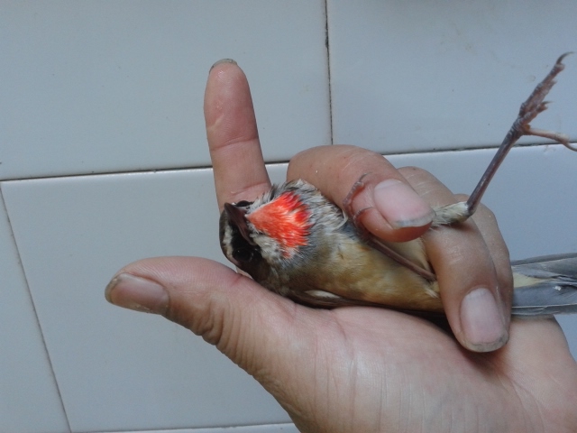 20140910_134550.jpg