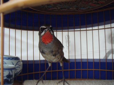 DSC08293.jpg