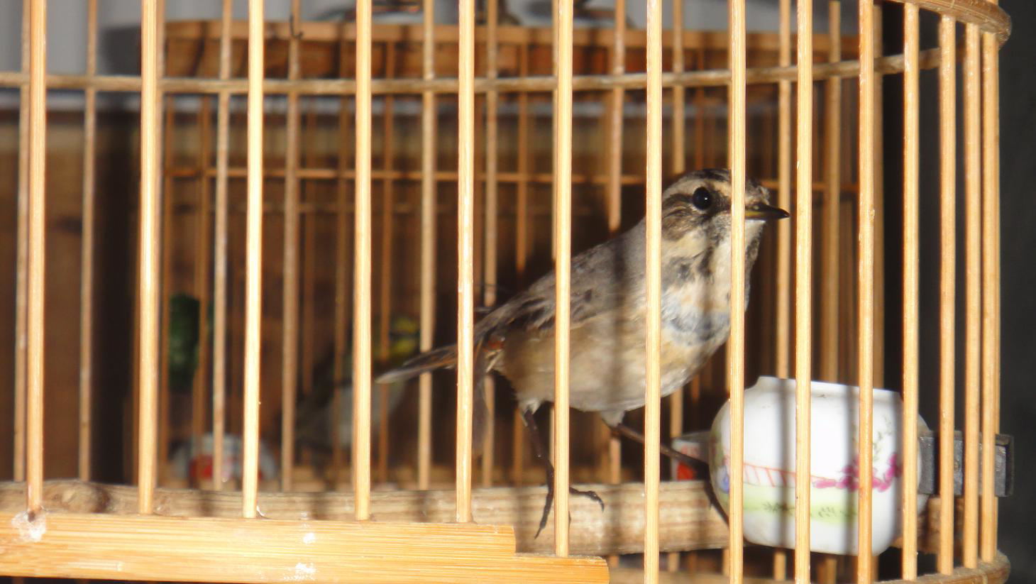 DSC02823_看图王.jpg