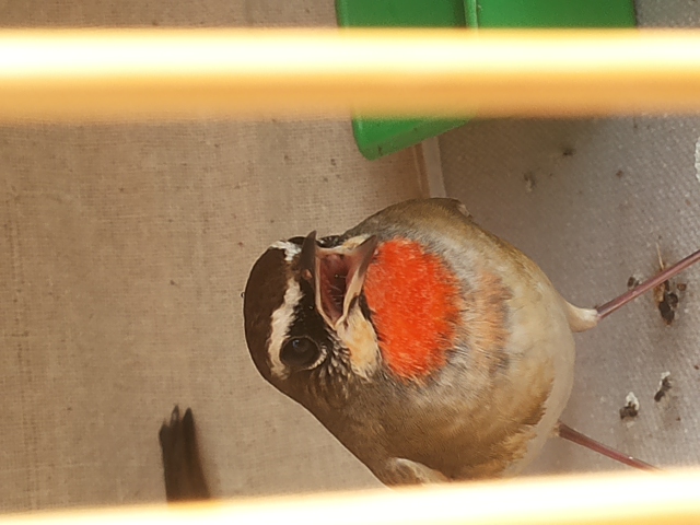 microMsg.1411116050120.jpg