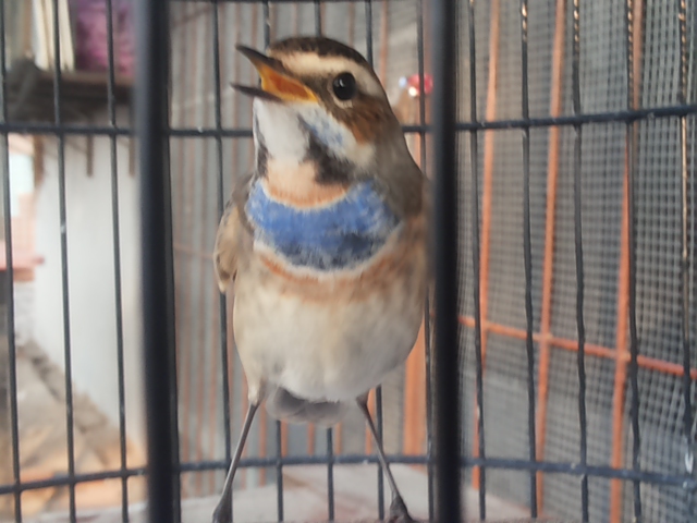 20140925_164100.jpg
