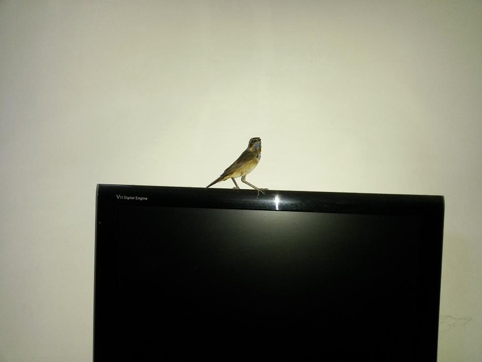 20140902_211346.JPG