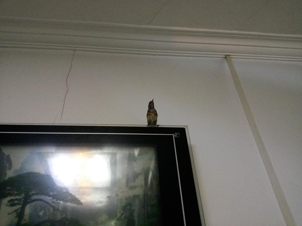20140902_211441.JPG