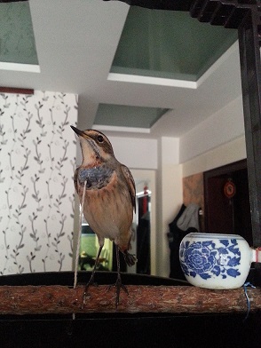 20140926_164018.jpg