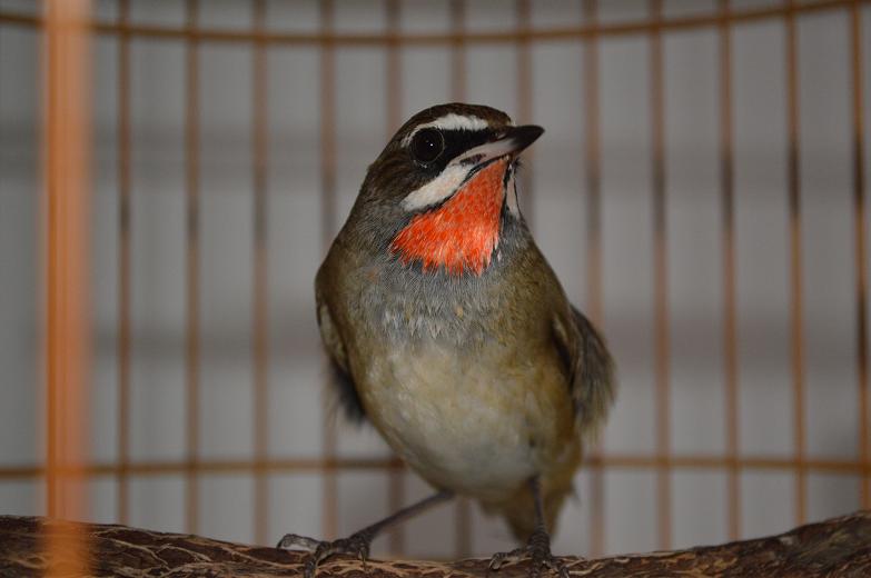 DSC_2353.JPG