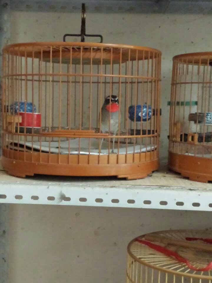 2014-09-30 213007.jpg