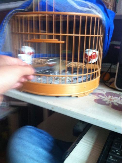 QQ图片20140929150909.jpg
