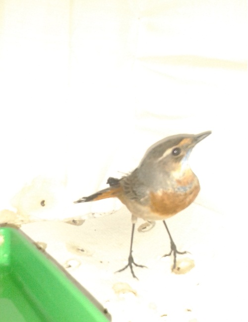 20140917_175620.jpg