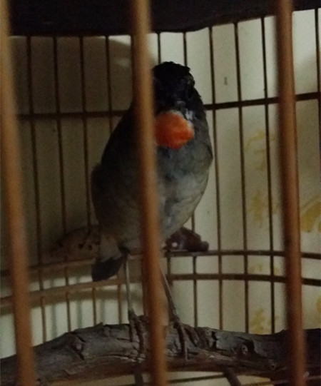 20140927_182631_副本.jpg