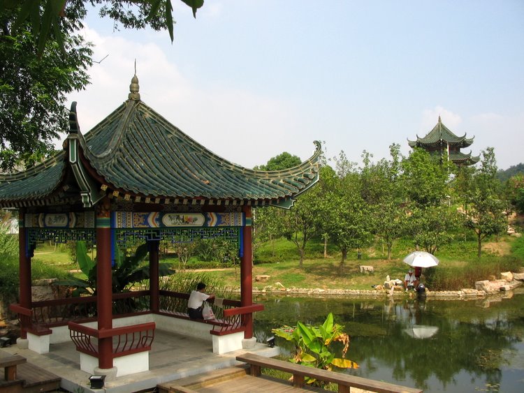 xin_30309051511343123246412.jpg
