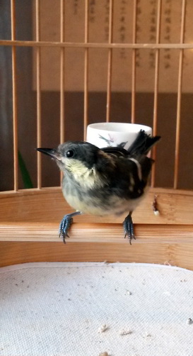 20140901_134214_10.jpg