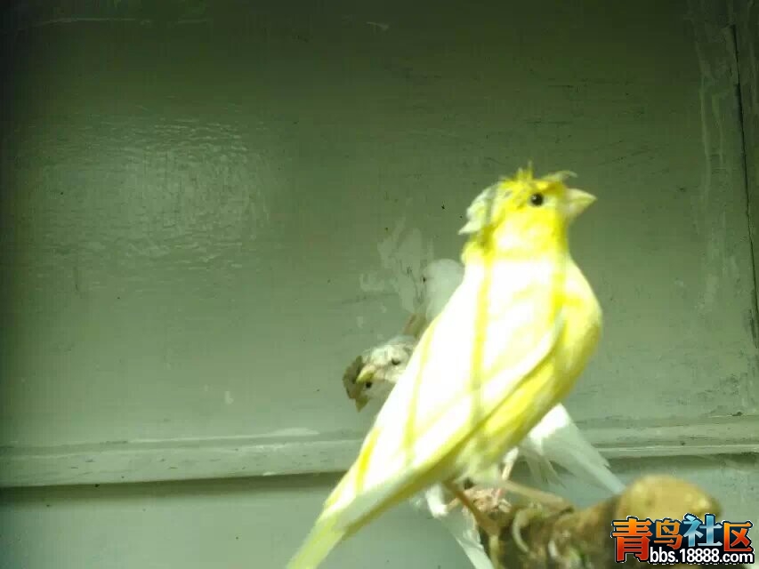 QQ图片20141021190534.jpg