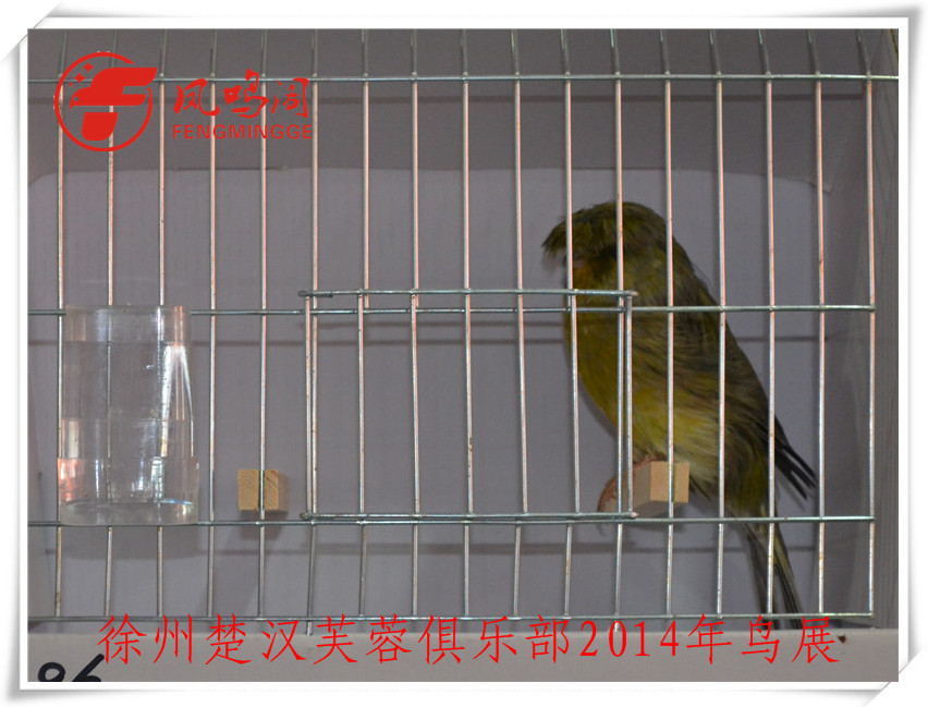 DSC_1150_副本.jpg