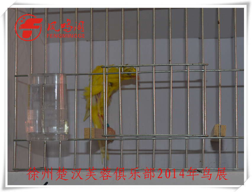 DSC_1147_副本.jpg