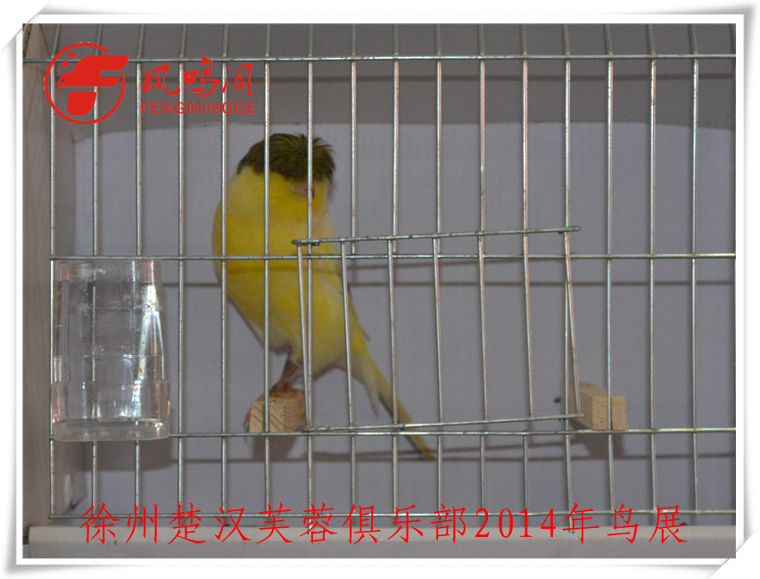 DSC_1151_副本.jpg
