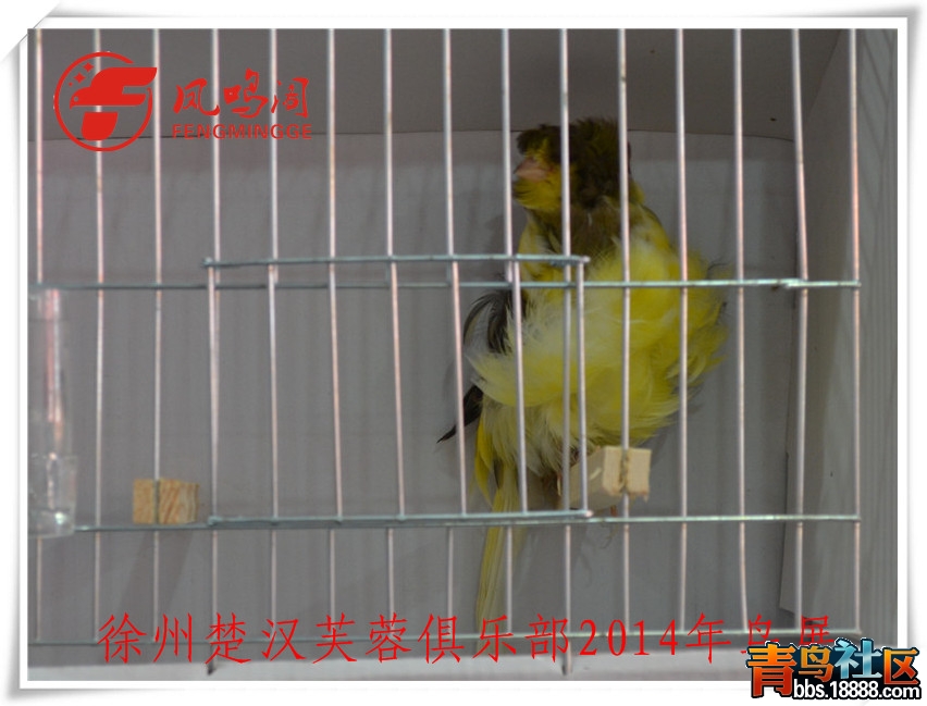 DSC_1239_副本.jpg