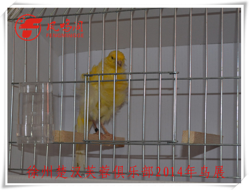 DSC_1126_副本.jpg