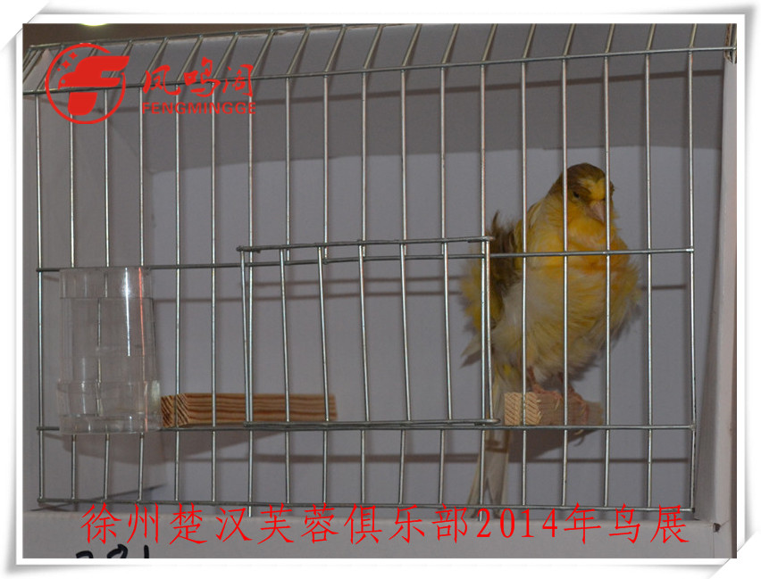 DSC_1127_副本.jpg