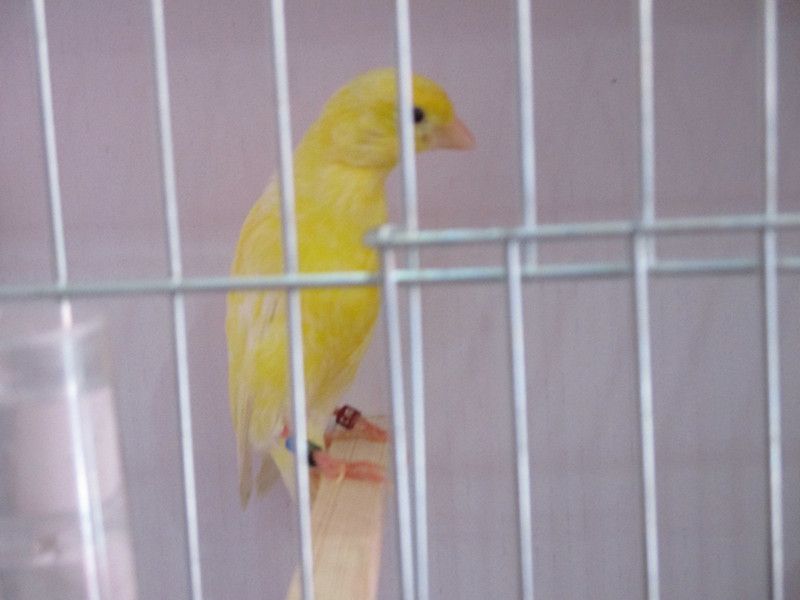 IMG_1179_副本_副本.jpg