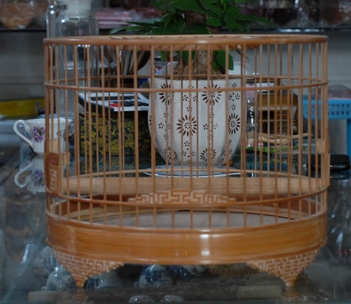 DSC_0001.JPG